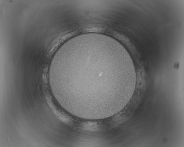 X0000115070162200912081156