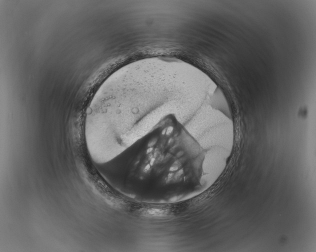 X0000115070163200912081156