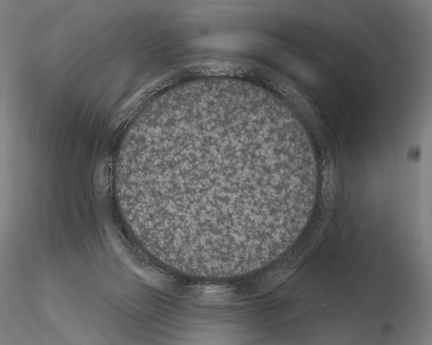 X0000115070165200912081156