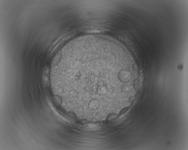 X0000115070166200912081156