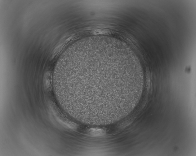 X0000115070169200912081156