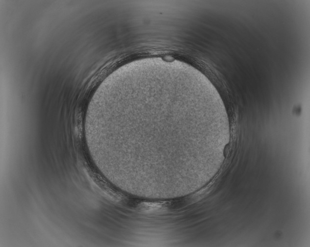 X0000115070170200912081156