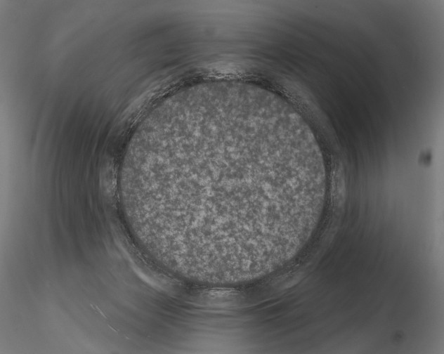 X0000115070173200912081156