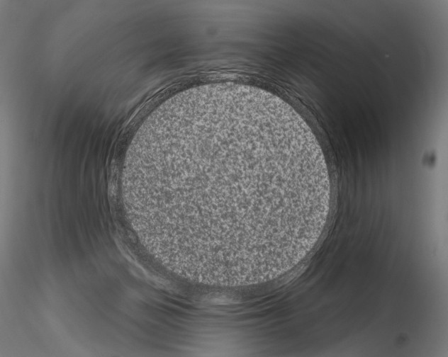 X0000115070174200912081156