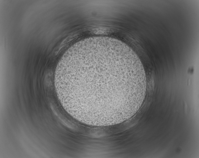 X0000115070175200912081156