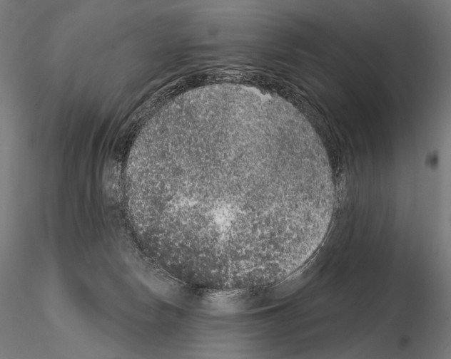 X0000115070178200912081156