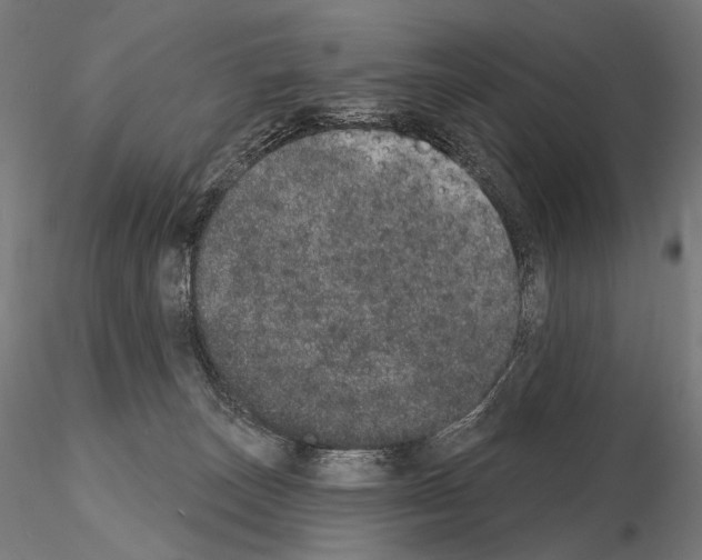 X0000115070179200912081156