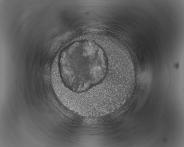 X0000115070181200912081156