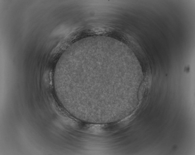 X0000115070182200912081156