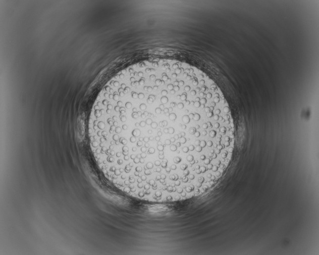 X0000115070183200912081156