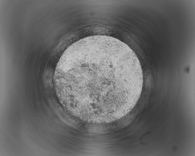 X0000115070185200912081156