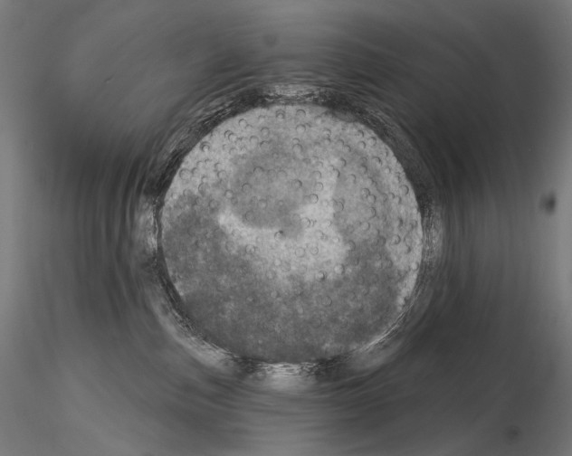 X0000115070187200912081156