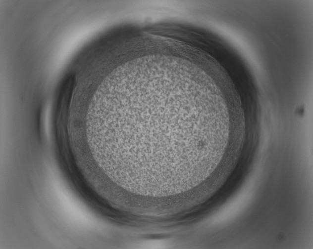 X0000115070189200912081156