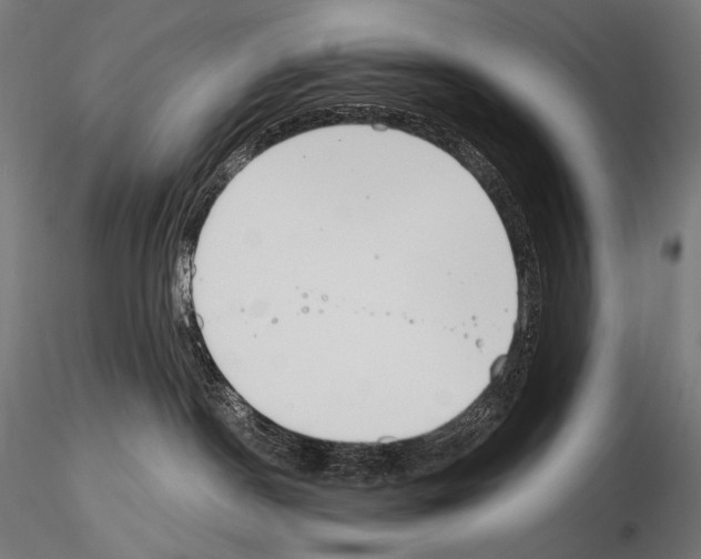 X0000115070190200912081156