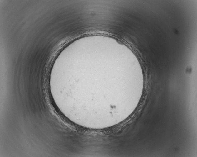 X0000115070193200912081156