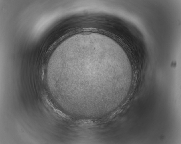 X0000115070194200912081156