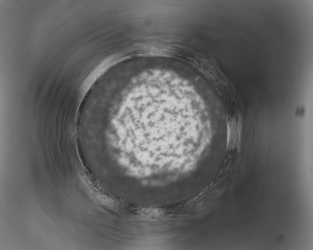 X0000115070195200912081156