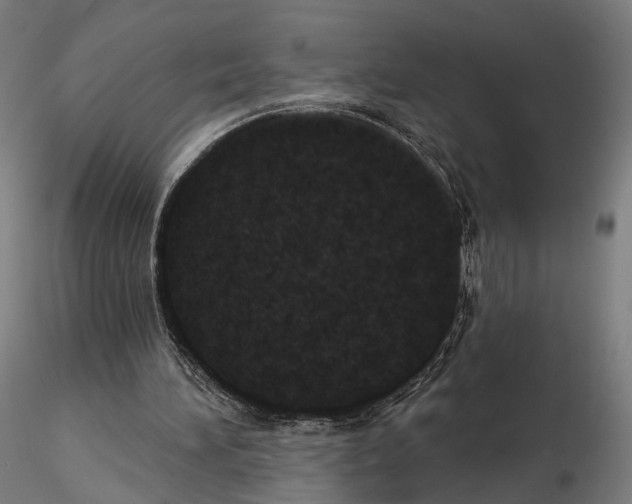 X0000115070196200912081156