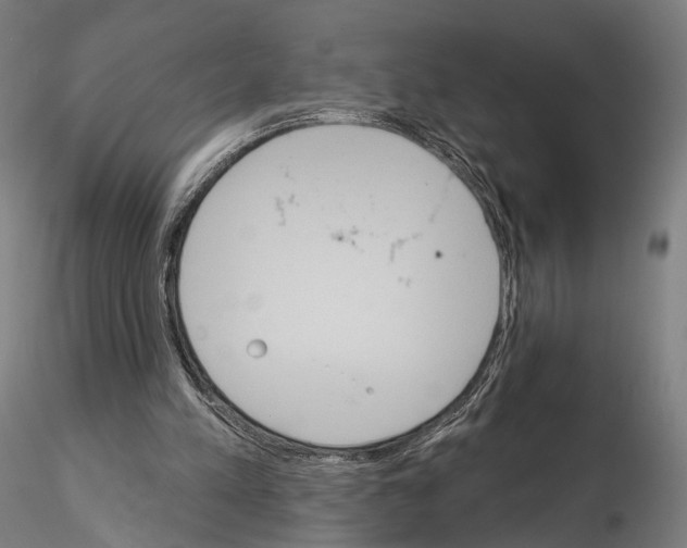 X0000115070197200912081156