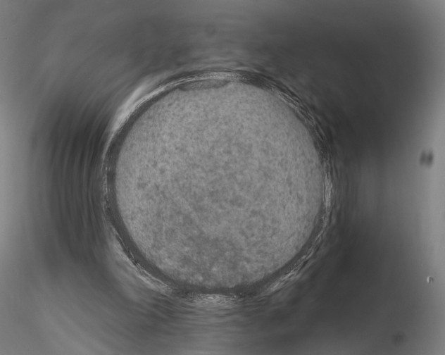 X0000115070198200912081156