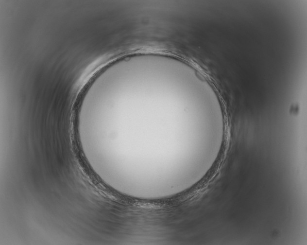 X0000115070199200912081155