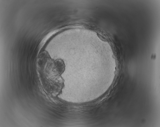 X0000115070200200912081155