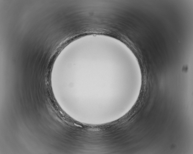 X0000115070203200912081155