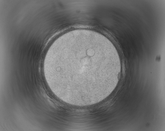 X0000115070204200912081155