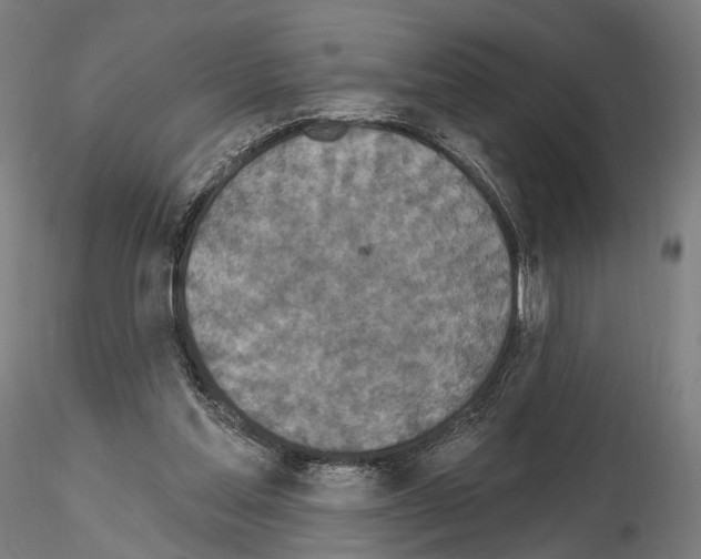 X0000115070205200912081155