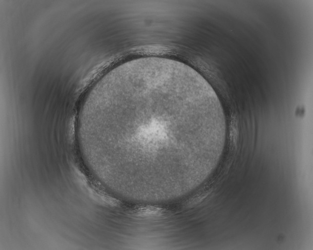 X0000115070206200912081155