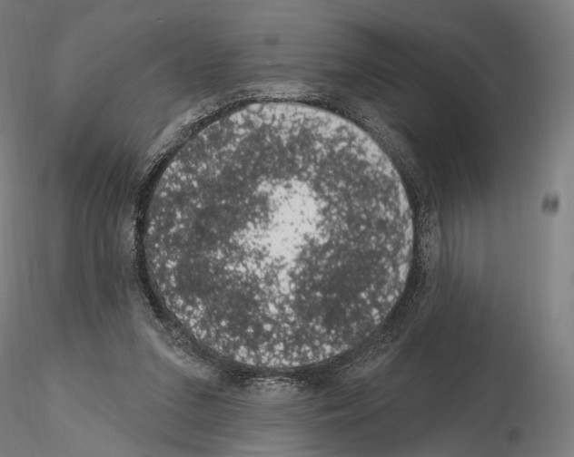 X0000115070207200912081155