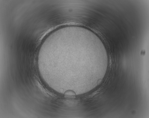 X0000115070208200912081155