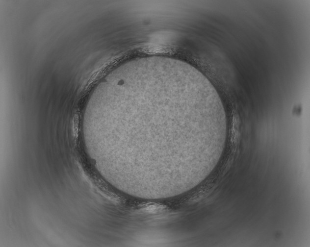 X0000115070210200912081155