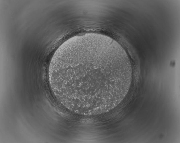 X0000115070211200912081155