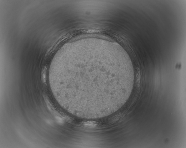 X0000115070214200912081155