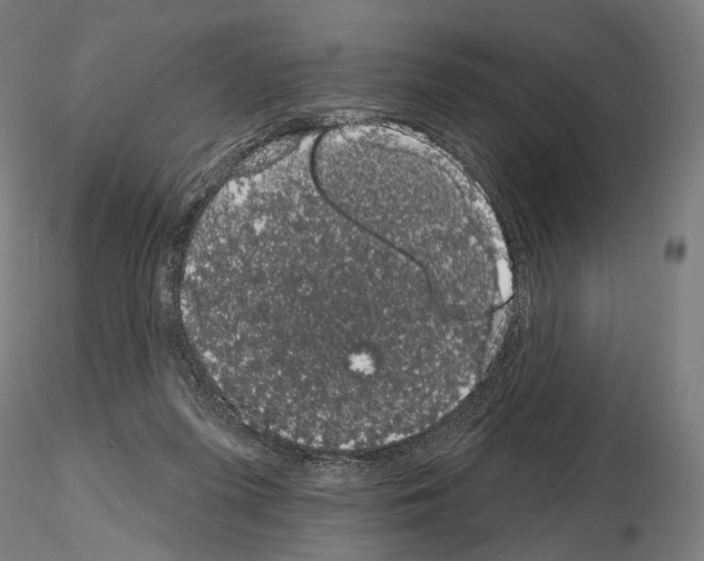 X0000115070215200912081155