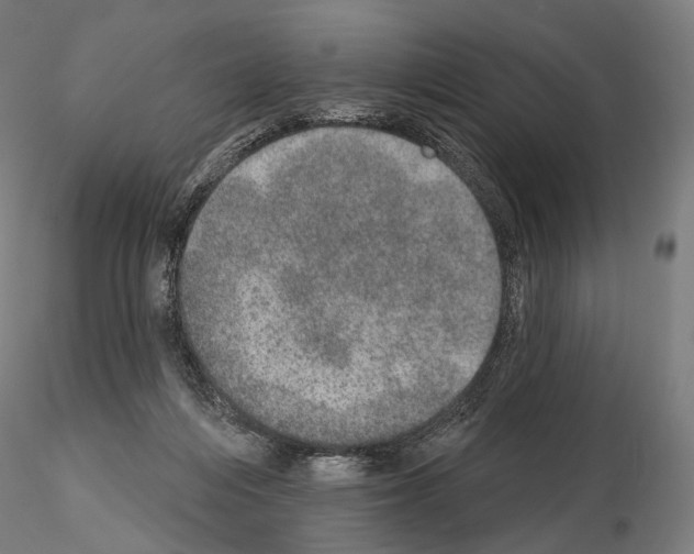 X0000115070216200912081155