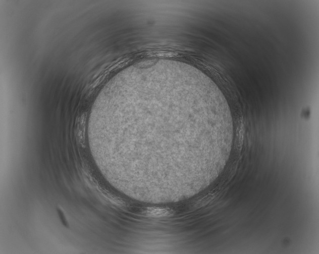 X0000115070218200912081155