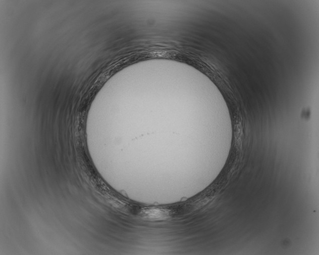 X0000115070221200912081155