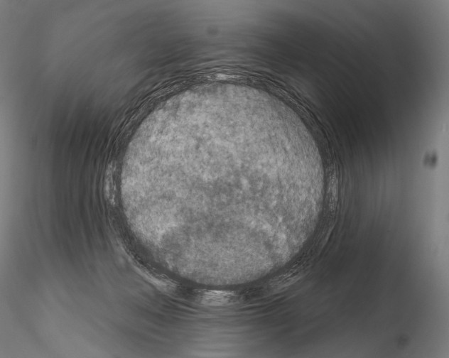 X0000115070222200912081155