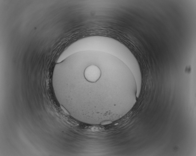 X0000115070223200912081155