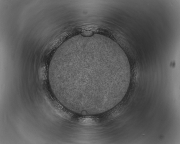 X0000115070224200912081155