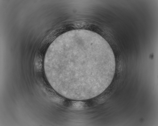 X0000115070226200912081155