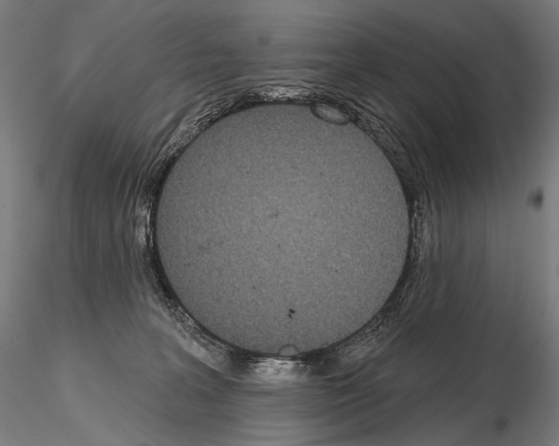 X0000115070227200912081155