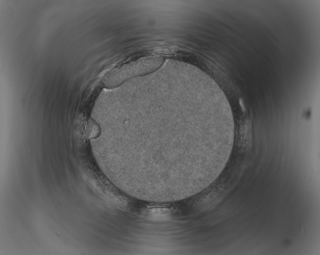 X0000115070228200912081155