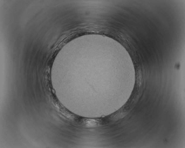 X0000115070229200912081155