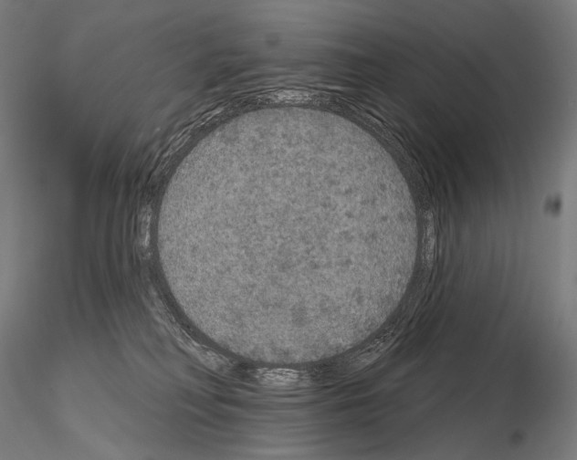 X0000115070230200912081155