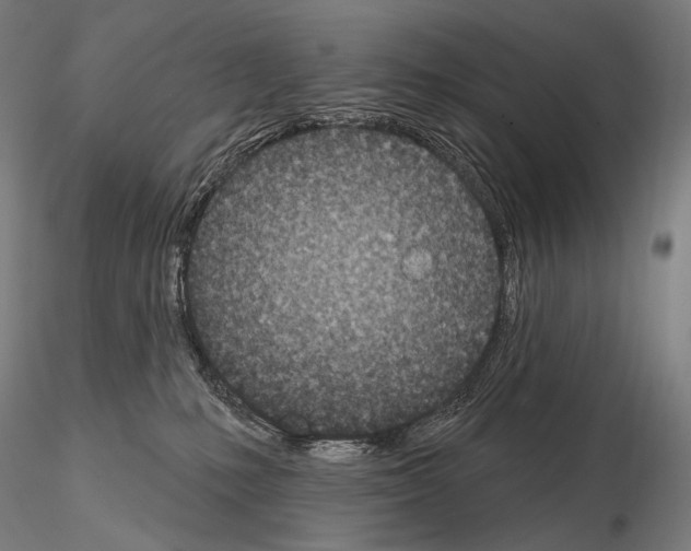 X0000115070231200912081155