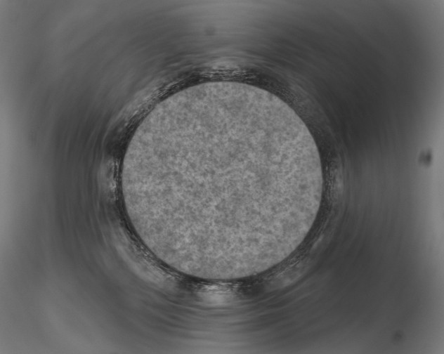 X0000115070232200912081155