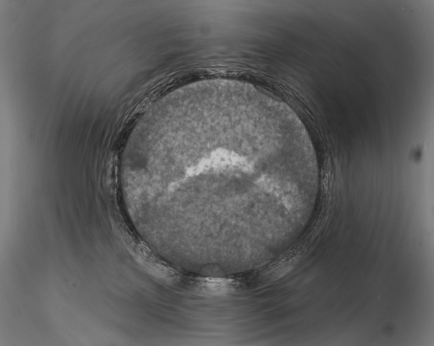 X0000115070233200912081155